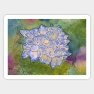 Hydrangea Sticker